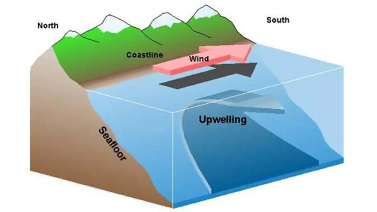 Bermuda-háromszög, fekete-tenger, feláramlások, hajóroncsok, hajózás, húzóáramlatok, mélytengeri kutatás, navigáció, örvények, ősi civilizációk, összeesküvés-elméletek, régészet, rejtélyek, tengeri áramlatok, tengeri legendák, természeti jelenségek, veszélyek, viharok